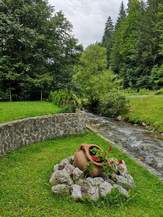 Hotel Raza Soarelui Moeciu De Sus Exterior foto